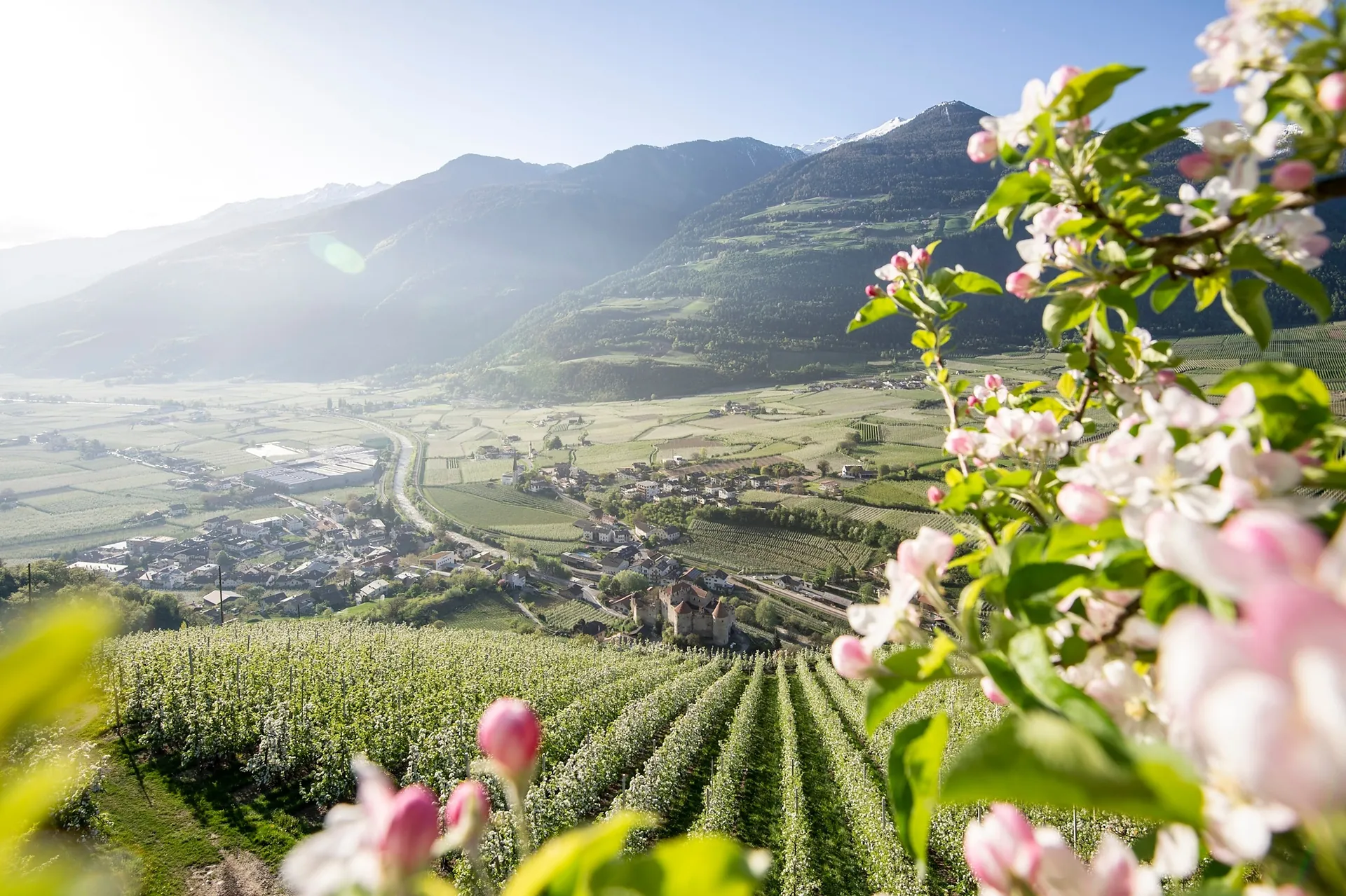 Vinschgau